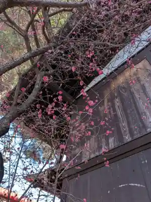 猿田彦神社(東京都)