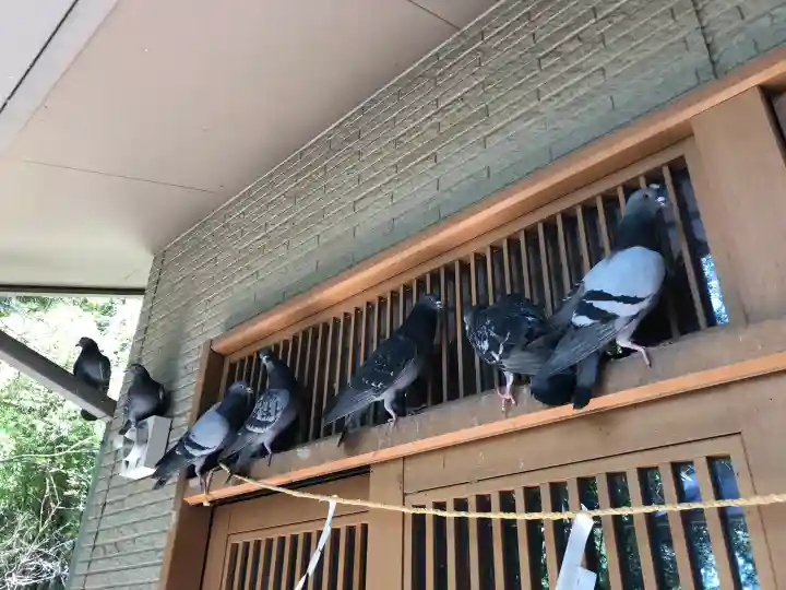 沖野八幡神社の{uncategorized: "未分類", other: "その他", undefined: "問題あり", building: "その他建物", grave: "お墓", sacred_gate: "鳥居", guardian: "狛犬", statue: "像", buddha: "仏像", history: "歴史", nature: "自然", garden: "庭園", animal: "動物", pagoda: "塔", temizu: "手水舎", mountain_gate: "山門・神門", sanctuary: "本殿・本堂", subordinate: "末社・摂社", art: "芸術", scenery: "景色", jizo: "地蔵", ema: "絵馬", goshuin: "御朱印", omikuji: "おみくじ", items: "授与品その他", amulet: "お守り", goshuincho: "御朱印帳", eats: "食事", festival: "お祭り", votive_dance: "神楽", shichigosan: "七五三参", wedding: "結婚式", experience: "体験その他", initially: "初詣", around: "周辺", anti_infection: "感染症対策"}