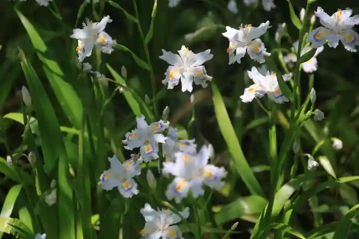 三春大神宮の庭園