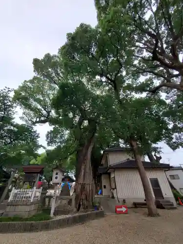 熊野三社の自然