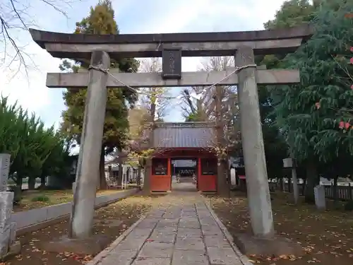 諏訪神社の鳥居
