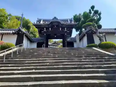 光徳寺の{uncategorized: "未分類", other: "その他", undefined: "問題あり", building: "その他建物", grave: "お墓", sacred_gate: "鳥居", guardian: "狛犬", statue: "像", buddha: "仏像", history: "歴史", nature: "自然", garden: "庭園", animal: "動物", pagoda: "塔", temizu: "手水舎", mountain_gate: "山門・神門", sanctuary: "本殿・本堂", subordinate: "末社・摂社", art: "芸術", scenery: "景色", jizo: "地蔵", ema: "絵馬", goshuin: "御朱印", omikuji: "おみくじ", items: "授与品その他", amulet: "お守り", goshuincho: "御朱印帳", eats: "食事", festival: "お祭り", votive_dance: "神楽", shichigosan: "七五三参", wedding: "結婚式", experience: "体験その他", initially: "初詣", around: "周辺", anti_infection: "感染症対策"}