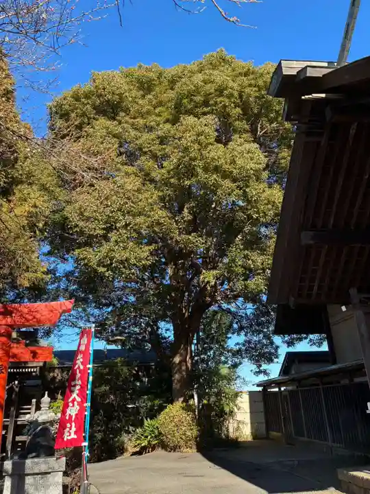 日吉神社(神奈川県)