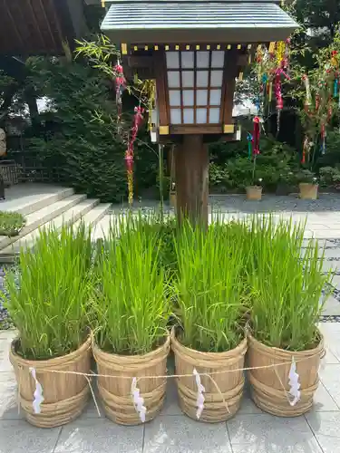 東京大神宮のその他建物