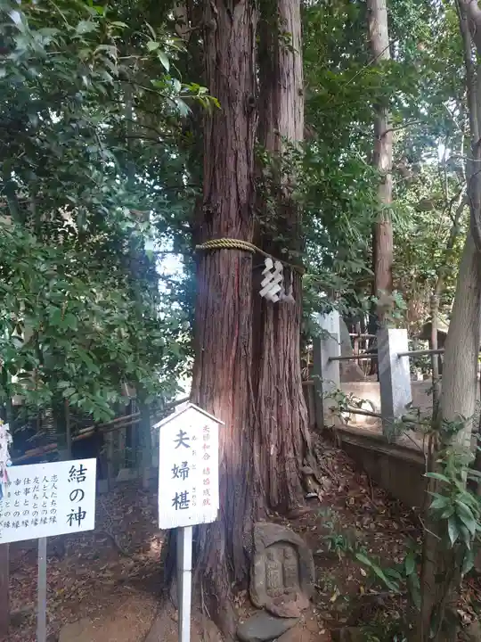 座間神社(神奈川県)