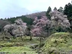 朝倉神社の庭園