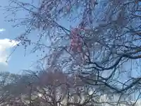 浮島辨財天(群馬県)