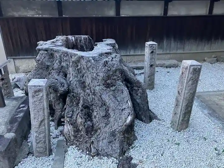 地蔵寺の自然