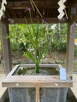 赤坂氷川神社(東京都)