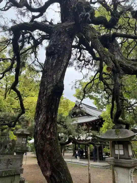 御霊神社(上御霊神社)の{uncategorized: "未分類", other: "その他", undefined: "問題あり", building: "その他建物", grave: "お墓", sacred_gate: "鳥居", guardian: "狛犬", statue: "像", buddha: "仏像", history: "歴史", nature: "自然", garden: "庭園", animal: "動物", pagoda: "塔", temizu: "手水舎", mountain_gate: "山門・神門", sanctuary: "本殿・本堂", subordinate: "末社・摂社", art: "芸術", scenery: "景色", jizo: "地蔵", ema: "絵馬", goshuin: "御朱印", omikuji: "おみくじ", items: "授与品その他", amulet: "お守り", goshuincho: "御朱印帳", eats: "食事", festival: "お祭り", votive_dance: "神楽", shichigosan: "七五三参", wedding: "結婚式", experience: "体験その他", initially: "初詣", around: "周辺", anti_infection: "感染症対策"}
