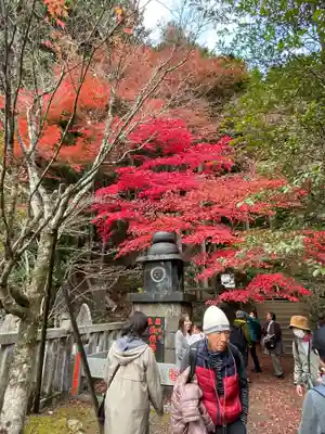 大山寺(神奈川県)