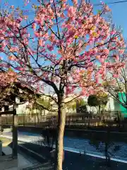 朝日氷川神社の自然