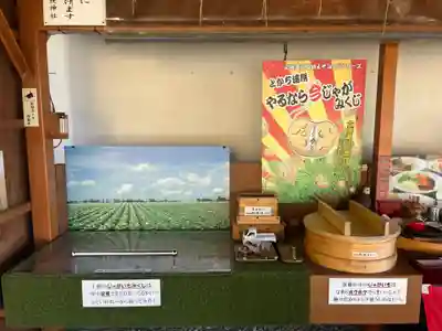 浦幌神社・乳神神社のおみくじ