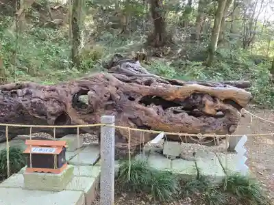泉神社(茨城県)