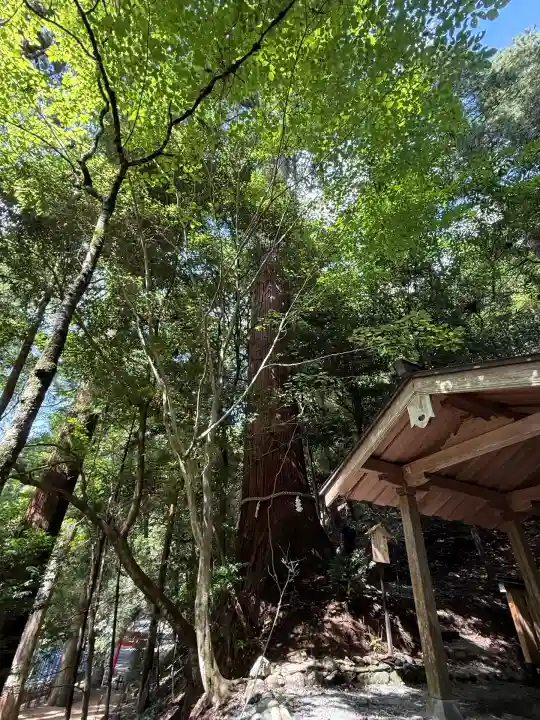 丹生川上神社(中社)(奈良県)
