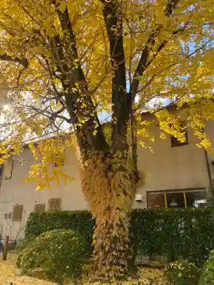 大斎原（熊野本宮大社旧社地）(和歌山県)