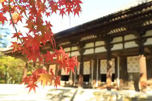 唐招提寺(奈良県)