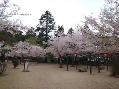 厳島神社(広島県)