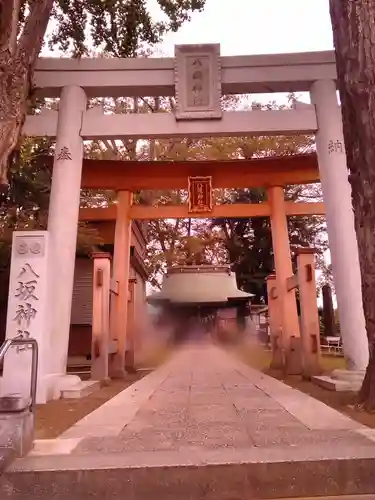 守谷総鎮守 八坂神社の鳥居