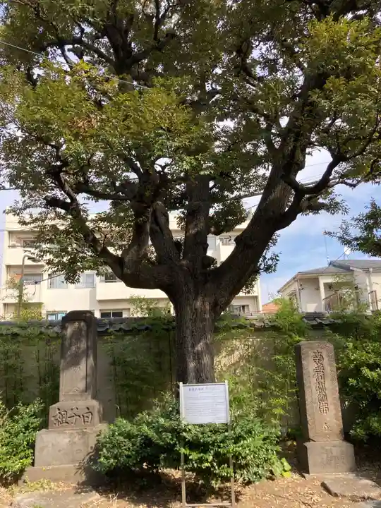 祐天寺(東京都)