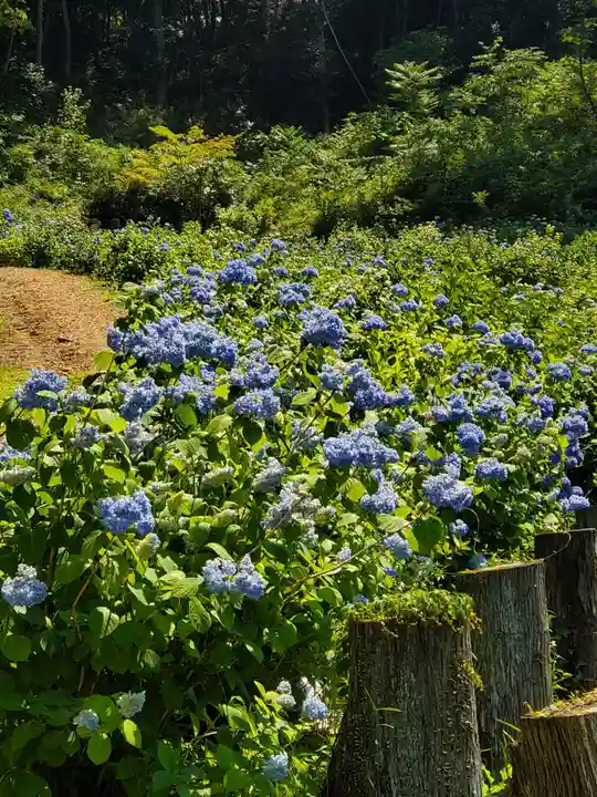 陽林寺(福島県)