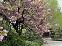高円寺の{uncategorized: "未分類", other: "その他", undefined: "問題あり", building: "その他建物", grave: "お墓", sacred_gate: "鳥居", guardian: "狛犬", statue: "像", buddha: "仏像", history: "歴史", nature: "自然", garden: "庭園", animal: "動物", pagoda: "塔", temizu: "手水舎", mountain_gate: "山門・神門", sanctuary: "本殿・本堂", subordinate: "末社・摂社", art: "芸術", scenery: "景色", jizo: "地蔵", ema: "絵馬", goshuin: "御朱印", omikuji: "おみくじ", items: "授与品その他", amulet: "お守り", goshuincho: "御朱印帳", eats: "食事", festival: "お祭り", votive_dance: "神楽", shichigosan: "七五三参", wedding: "結婚式", experience: "体験その他", initially: "初詣", around: "周辺", anti_infection: "感染症対策"}