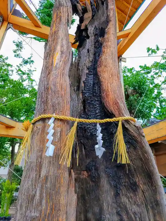 西八龍社の自然