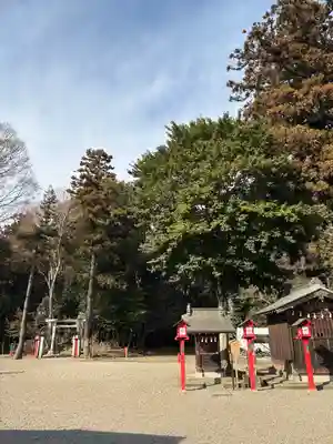 鷲宮神社(埼玉県)