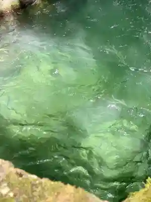 丹生川上神社（中社）(奈良県)