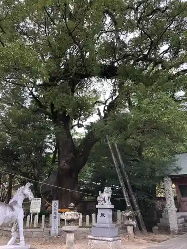 大分八幡宮の狛犬