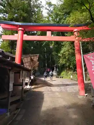天龍寺の鳥居