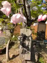 玉津島神社の自然