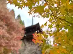 新海三社神社(長野県)