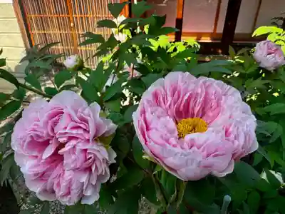 御霊神社(奈良県)