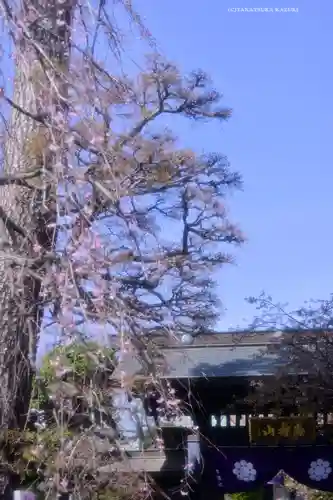 密藏院(埼玉県)