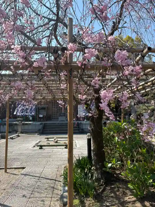後白河院御聖蹟 法住寺の{uncategorized: "未分類", other: "その他", undefined: "問題あり", building: "その他建物", grave: "お墓", sacred_gate: "鳥居", guardian: "狛犬", statue: "像", buddha: "仏像", history: "歴史", nature: "自然", garden: "庭園", animal: "動物", pagoda: "塔", temizu: "手水舎", mountain_gate: "山門・神門", sanctuary: "本殿・本堂", subordinate: "末社・摂社", art: "芸術", scenery: "景色", jizo: "地蔵", ema: "絵馬", goshuin: "御朱印", omikuji: "おみくじ", items: "授与品その他", amulet: "お守り", goshuincho: "御朱印帳", eats: "食事", festival: "お祭り", votive_dance: "神楽", shichigosan: "七五三参", wedding: "結婚式", experience: "体験その他", initially: "初詣", around: "周辺", anti_infection: "感染症対策"}