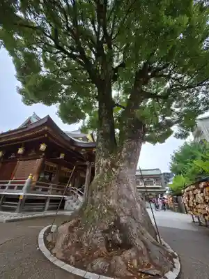 湯島天満宮(東京都)