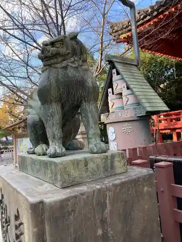 浅草神社の狛犬