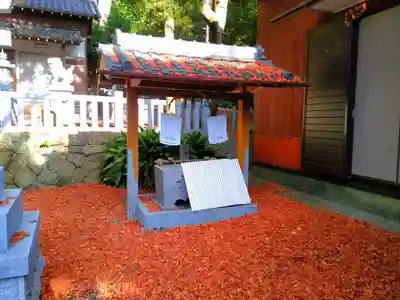 白山神社の手水舎