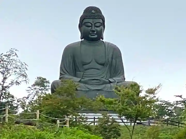 寳光寺 鹿野大佛の仏像