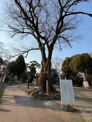 片山神社(愛知県)