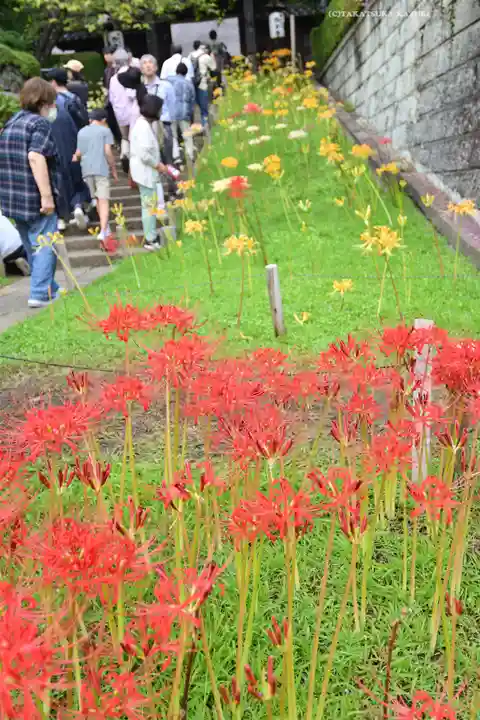 横浜 西方寺(神奈川県)