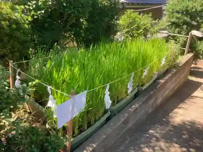 横浜御嶽神社(神奈川県)