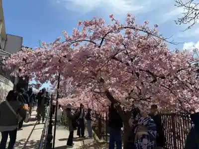 長円寺の{uncategorized: "未分類", other: "その他", undefined: "問題あり", building: "その他建物", grave: "お墓", sacred_gate: "鳥居", guardian: "狛犬", statue: "像", buddha: "仏像", history: "歴史", nature: "自然", garden: "庭園", animal: "動物", pagoda: "塔", temizu: "手水舎", mountain_gate: "山門・神門", sanctuary: "本殿・本堂", subordinate: "末社・摂社", art: "芸術", scenery: "景色", jizo: "地蔵", ema: "絵馬", goshuin: "御朱印", omikuji: "おみくじ", items: "授与品その他", amulet: "お守り", goshuincho: "御朱印帳", eats: "食事", festival: "お祭り", votive_dance: "神楽", shichigosan: "七五三参", wedding: "結婚式", experience: "体験その他", initially: "初詣", around: "周辺", anti_infection: "感染症対策"}