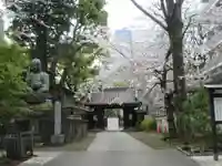 品川寺(東京都)