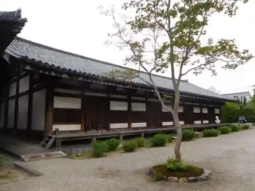 元興寺の本殿・本堂