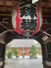 大円寺(東京都)