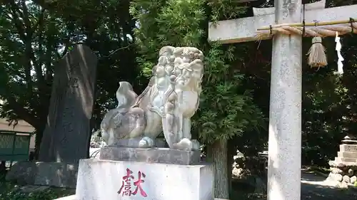 三ケ尻八幡神社の狛犬