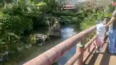 圓鏡寺の庭園