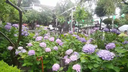 白山神社の自然